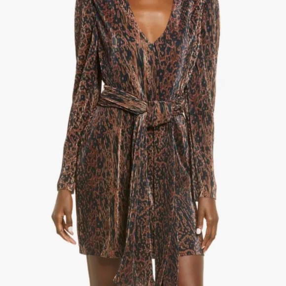 WAYF Riverside Leopard Print Dress (Size S) - Picture 1 of 6